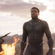 Illustration for article titled Wakanda was briefly listed as trade partner of the U.S. government